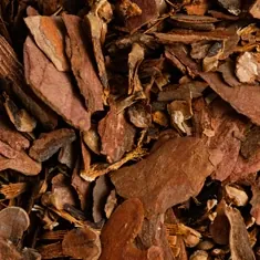 Dried cascara sagrada bark chips