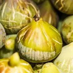 Pale green fruits, standing in for the three triphala fruits