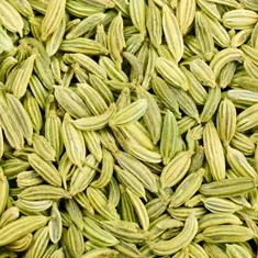 Close-up of fennel seeds